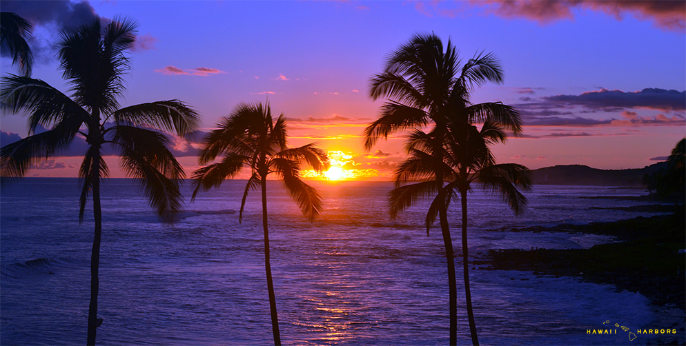 Hawaii Sunset Cruises